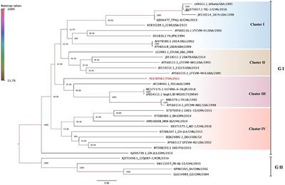 Molecular epidemiology and strain diversity of circulating feline Calicivirus in Thai cats